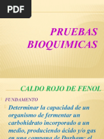 Download Caldo Rojo de Fenol by nash_patlan SN56608190 doc pdf
