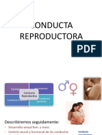 4 - Conducta Reproductora