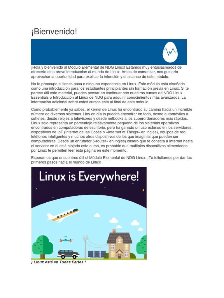 Introducción a la CLI en Linux | PDF | Archivo de computadora ...