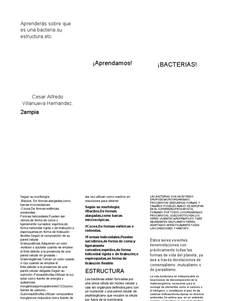 Estructura y Clasificación de Bacterias | PDF | Biología Celular) | Las ...