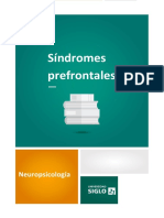 Sindromes Prefrontales