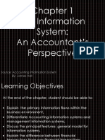 Chapter 1 The Information System An Accountant's Perspective