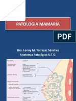 Patologia Mamaria