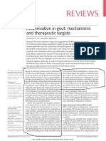 Reviews: Inflammation in Gout: Mechanisms and Therapeutic Targets