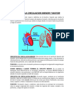 Circuitos de La Circulacion Menor y Mayor