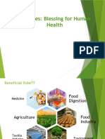 Microbes Help Digest Food and Enrich Soil