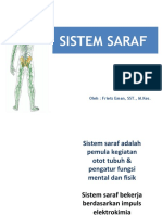 1, Review Sistem Saraf