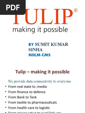 Tulip