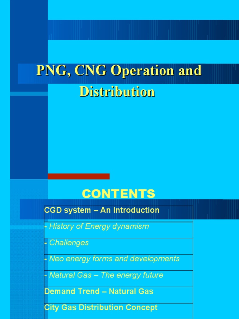 City Gas Distribution Overview | PDF | Natural Gas | Pipe (Fluid ...