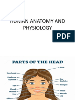 HUMAN ANATOMY AND PHYSIOLOGY.pptx01