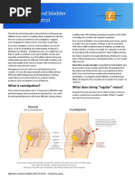 CHEO Constipation Management Guide | PDF | Constipation | Human Feces