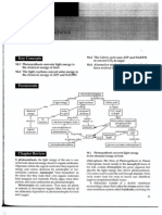 Photosynthesis Study Guide