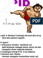 Metabolisme Lipid