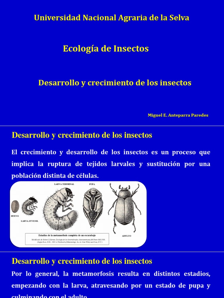 Desarrollo y Reproducción de Insectos | PDF | Huevo | Sexo