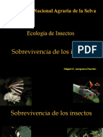 Sobrevivencia de Los Insectos