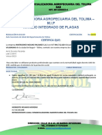 Certificado M.I.P. 00648 - Molino Pacande