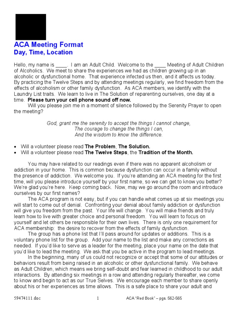 ACA Meeting Format and Guidelines | PDF | Twelve Step Program ...