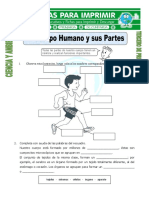 Ficha de El Cuerpo Humano y Sus Partes para Tercero de Primaria