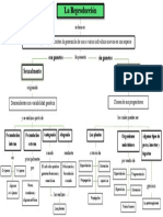 Mapa Conceptual de La Reproducción