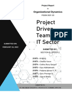 Project Driven Teams in IT Sector