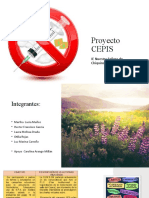 Proyecto CEPIS