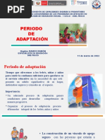 Período de Adaptación - 21