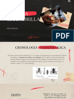 Primera Cuadrilla Entomologia Forense