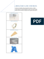 Muestra Biológica de Oxiuros