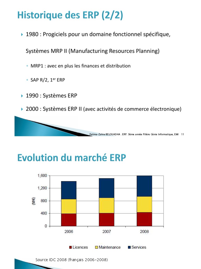 Historique et Types d'ERP | PDF | Progiciel de gestion intégré | Logiciel