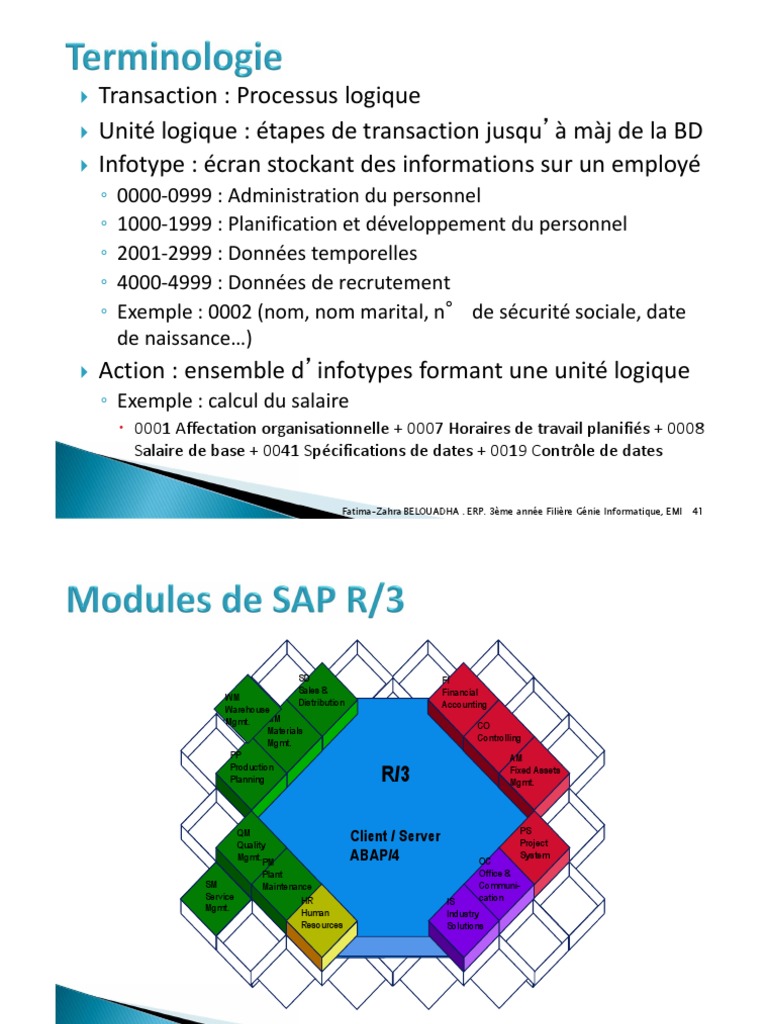 Introduction à SAP pour étudiants en ERP | PDF | Progiciel de gestion ...