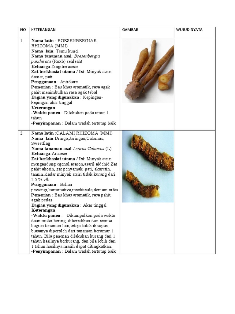 MEDICINAL PLANTS DOCUMENTATION PDF
