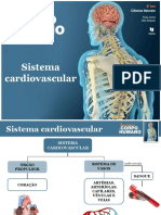 sistema-cardiovascular2