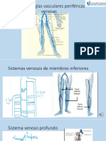 Patologia Venosa Incompleta