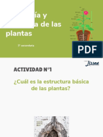 3° - Anatomía y Fisiología de Las Plantas