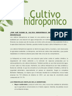 5 Porqué Elegir El Cultivo Hidroponico