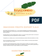 Macondo Fruits: exportadora colombiana de frutas frescas