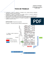 Práctica N°1 ANATOMIA SANTOS JESUS PISCOYA SANDOVAL