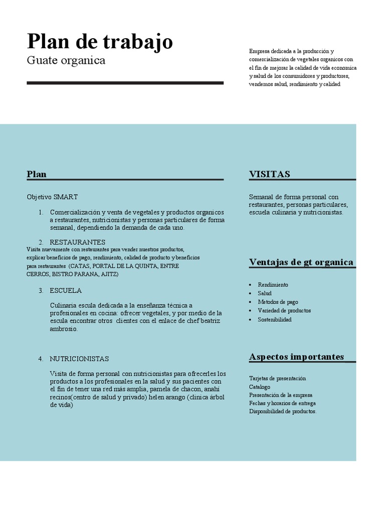 Plan de Trabajo Ventas | Descargar gratis PDF | Business | Economias