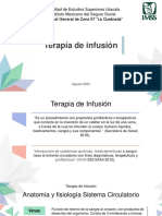 0 Terapia de Infusión