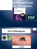 1.2. Chikungunya