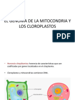 El Genoma de La Mitocondria y Los Cloroplastos