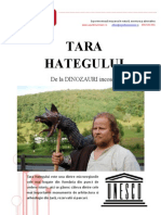 TARA HATEGULUI de la DINOZAURI incoace