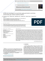 MTOR and Autophagy in Normal Brain Aging and Caloric Restriction