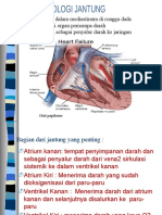 fisiologi jantung