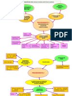 Mapas Mentales