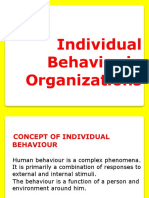 Individual Behavior in Organizations
