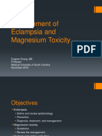 Management of Eclampsia and Magnesium Toxicity