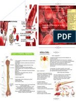 FOLDERANEMIAPRONTO