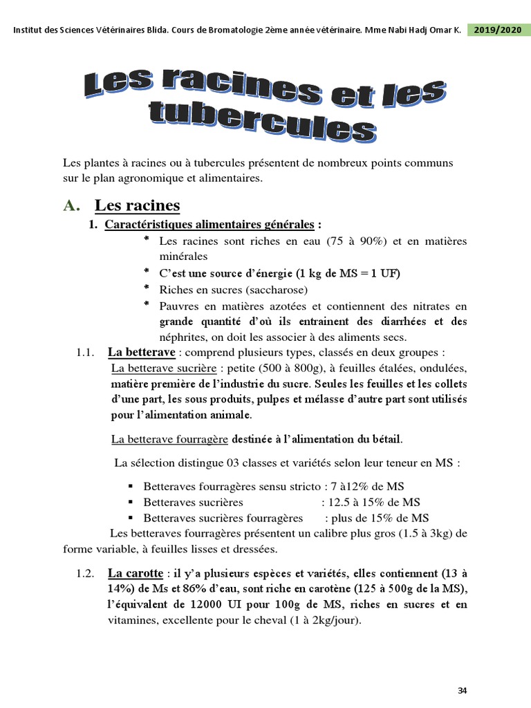 Les Racines et Tubercules Alimentaires | PDF | Pomme de terre | Régime ...