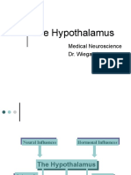 The Hypothalamus: Medical Neuroscience Dr. Wiegand